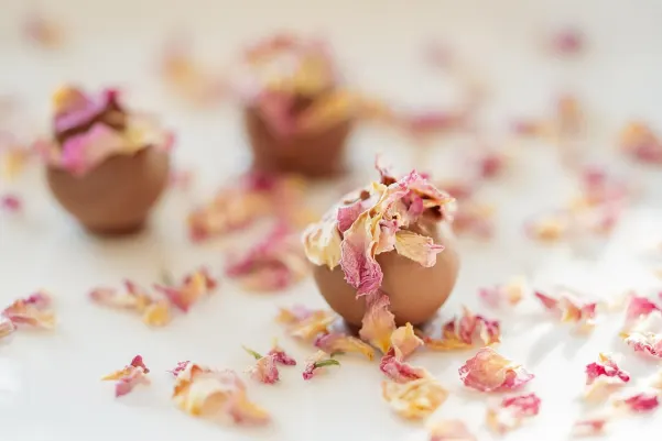 بيت24ستار كازينو تطبيق أندرويد/آي أو إس